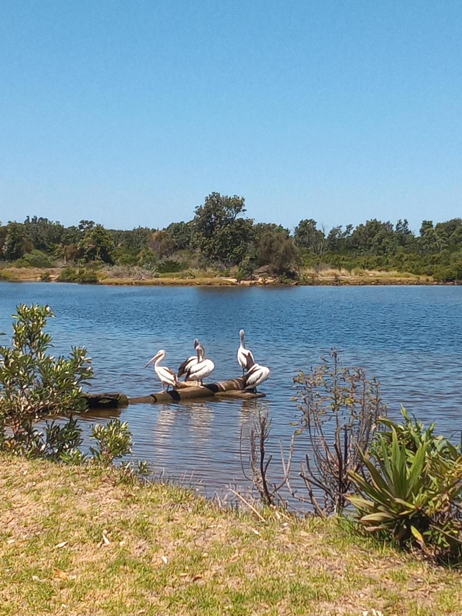 Lakes Entrance Waterfront Cottages With King Beds Buitenkant foto